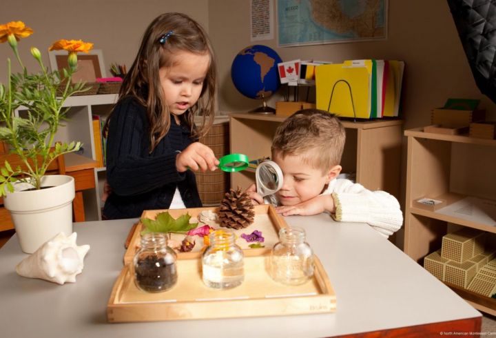 Phương pháp MONTESSORI